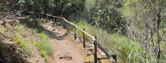 La Reserva Puig de Galatzó is one of Palma.