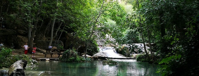 gürleyik şelale is one of Piknik.