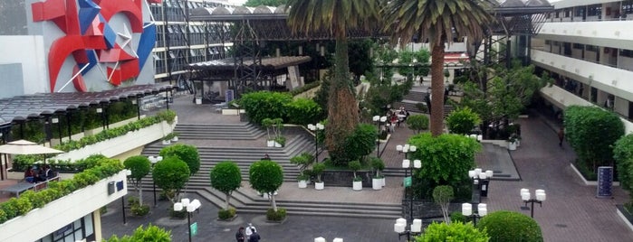 Universidad La Salle is one of Tempat yang Disukai Traveltimes.com.mx ✈.
