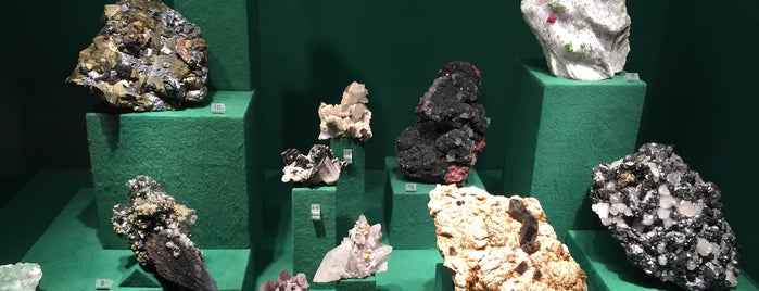 Mineralogisches Museum is one of Flexibles Flimmern Spielorte.