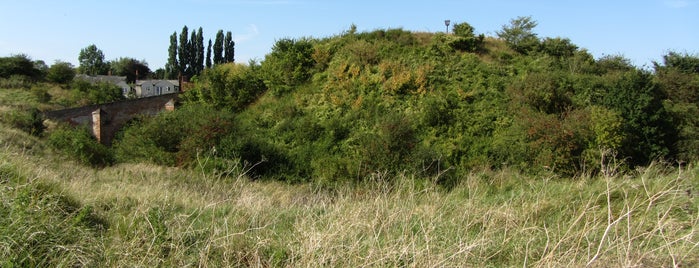 Pleshey Castle Mound (Ancient Monument) is one of Essex/Herts/Middx.