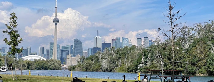 Toronto Islands is one of Tourist Attractions.