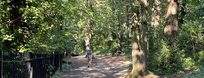 Dulwich Wood is one of Parks.
