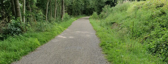 Tissington Trail is one of Phil’s Liked Places.
