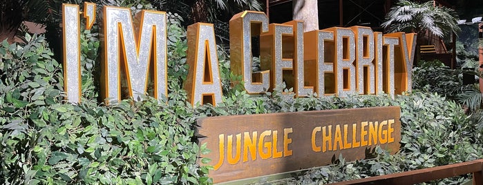 I'm A Celebrity Jungle Challenge is one of Manchester.