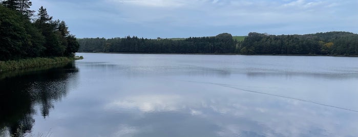 Turton and Entwistle Reservoir is one of My favourite places.