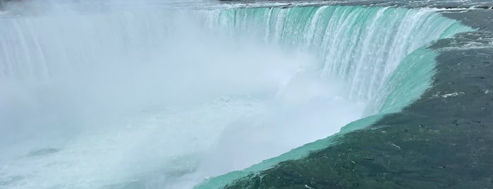 Horseshoe Falls is one of Mario’s Liked Places.