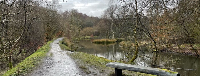 Healey Dell Nature Reserve is one of Things to do this weekend (01 - 03 Feb 2013).