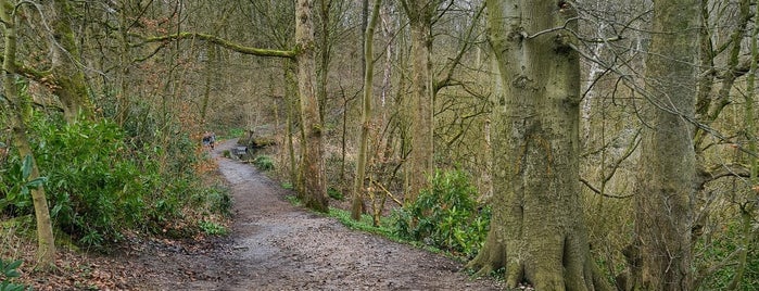 Worsley Woods is one of Tristan : понравившиеся места.