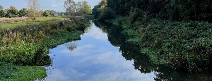 River Tern is one of Lieux qui ont plu à Elliott.