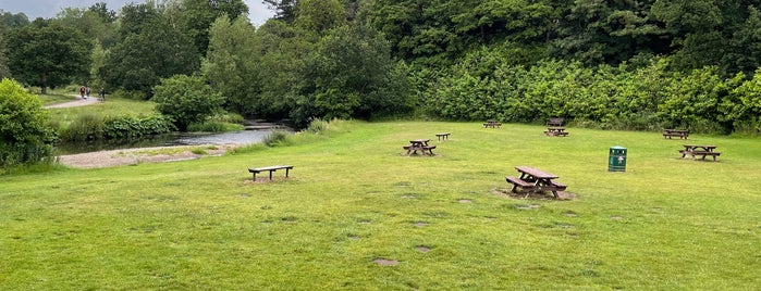 The Carrs Park is one of Manchester - 2018.