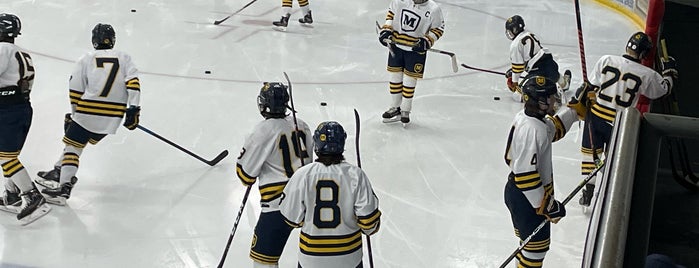 Sylvania Tam-O-Shanter is one of Hockey Rinks.