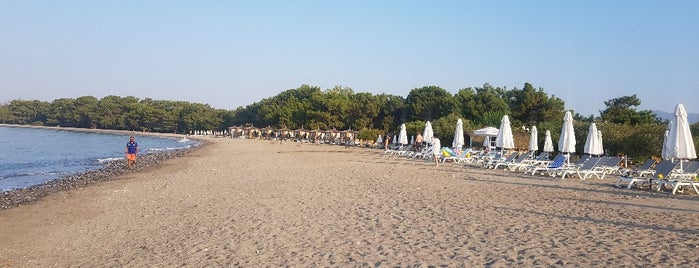 Sensatori Beach is one of Locais curtidos por Ирина.