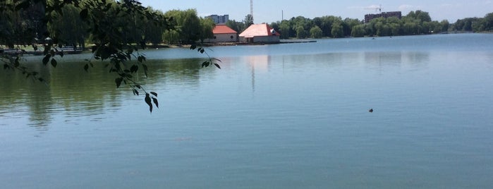 Міське озеро / City lake is one of Lugares favoritos de Ирина.