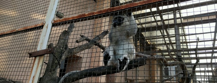 Zoo Batumi | ბათუმის ზოოპარკი is one of Things to visit in Batumi.
