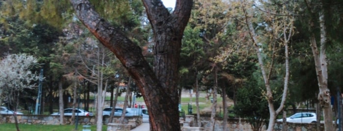 Kaynarca Parkı is one of aşkların savruldugu yer.