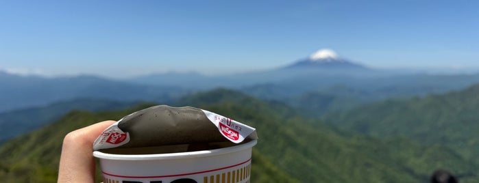 塔の岳山頂 is one of 日本の🗻ちゃん(⌒▽⌒).