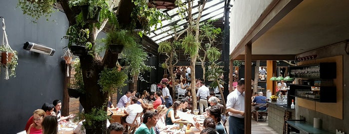 Feed Food is one of Restaurantes SP.