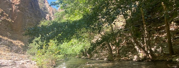 Sadağı Kanyonu Tabiat Parkı is one of Lugares guardados de 🇹🇷sedo.