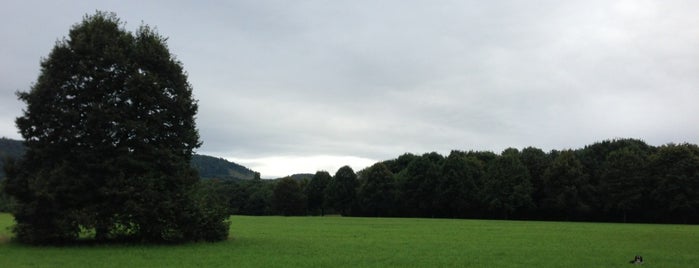 Landschaftspark Grütt is one of DLE.