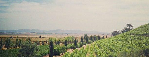 Viansa Winery is one of Wine Country.