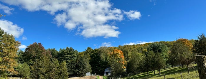 Lilymoore Farm is one of Hudson Valley.