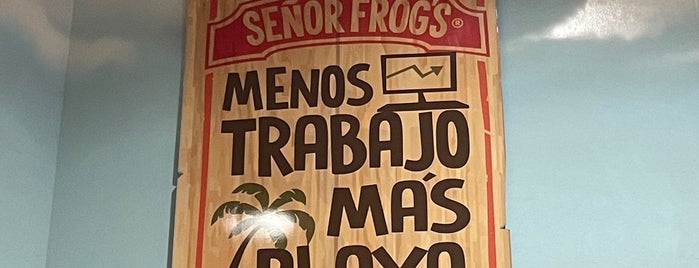 Señor Frog's Official Store is one of Shopping.