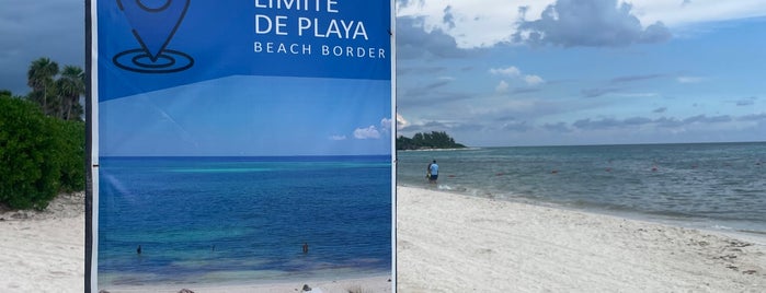 Playa 88 is one of Playa del Carmen cenote.