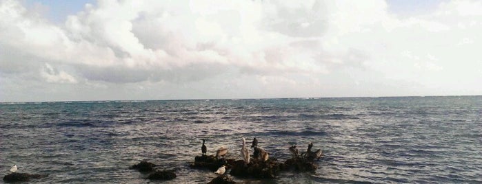 Tankah Bay is one of México (Riviera Maya).