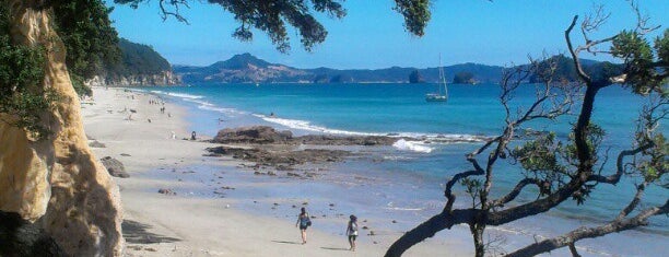 Hahei Beach is one of Orte, die Tristan gefallen.