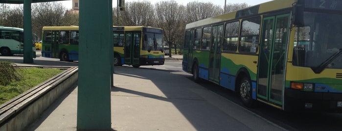 Siófok autóbusz-állomás is one of SZIGET!!!.