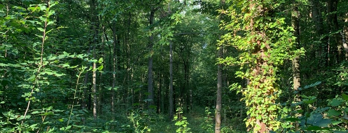 Forêt De Senart is one of Essonne - Evry.