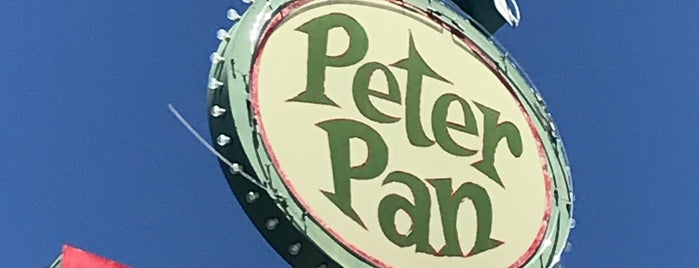 Peter Pan Motel is one of NEVADA: Vintage Signs & Offbeat Attractions.