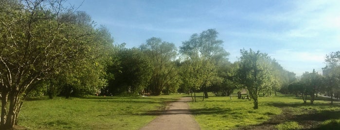 Парк между Природой и Печатью is one of Tempat yang Disukai Uliana.