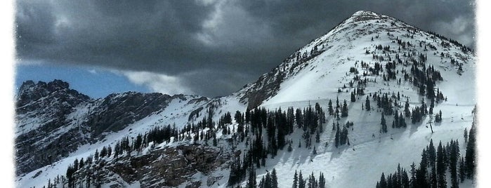 Alta Ski Area is one of Salt Lake City - Skiing, Food, Places.