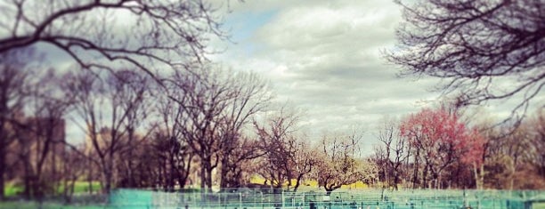 Central Park Tennis Center is one of Lugares favoritos de Annie.