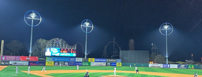 Maimonides Park is one of Minor League Ballparks.