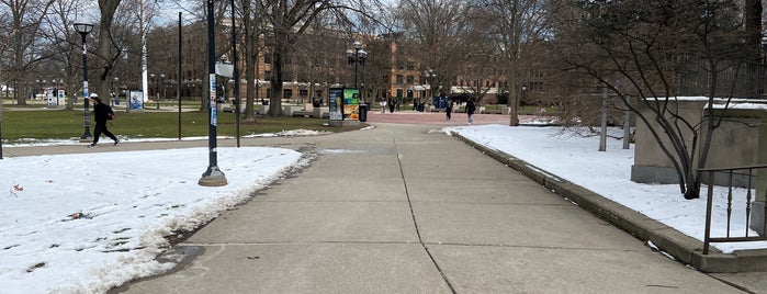 University of Michigan Diag is one of Ann Arbor/Detroit Reccos.