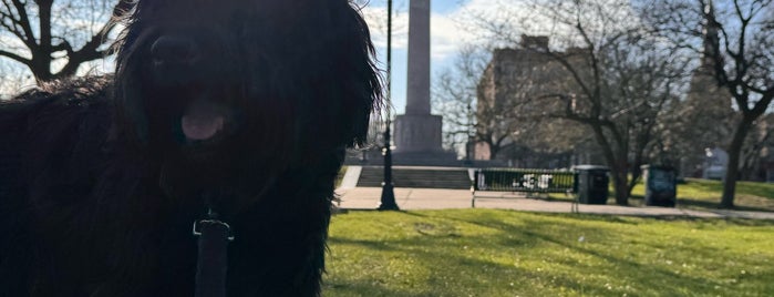 Logan Square - IL Centennial Monument is one of my new hood.