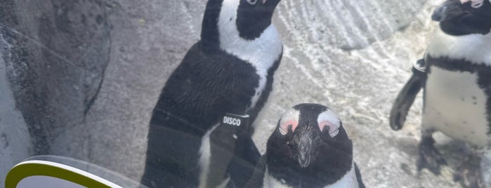 National Aviary is one of Pittsburgh Musts.