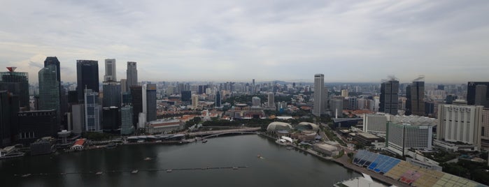 Marina Bay Sands Skypark is one of Singapore.