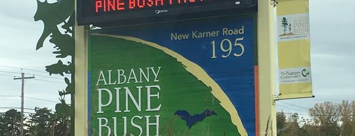 Albany Pine Bush is one of albaNY.