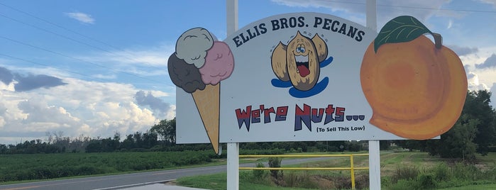 Ellis Bros. Pecans & Peanuts is one of Places to Eat.