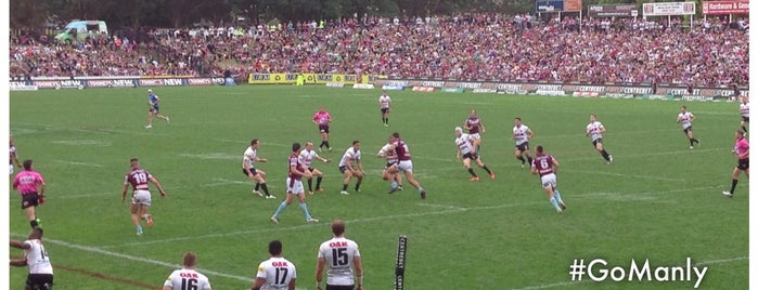 Brookvale Oval is one of Andrewさんのお気に入りスポット.