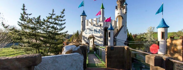 The Castle Fun Center is one of w the kids.