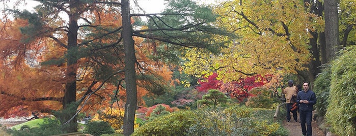 Brooklyn Botanic Garden is one of 7 Best Spots for Fall Foliage in NYC.