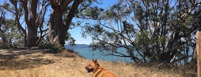 Point Pinole Regional Shoreline is one of Dog Friendly.