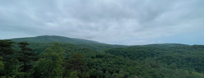 Green Ridge State Forest is one of Hiking.