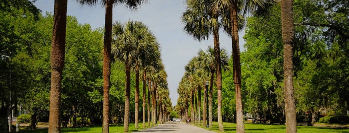 Tiedemann Park is one of Bikabout Savannah.