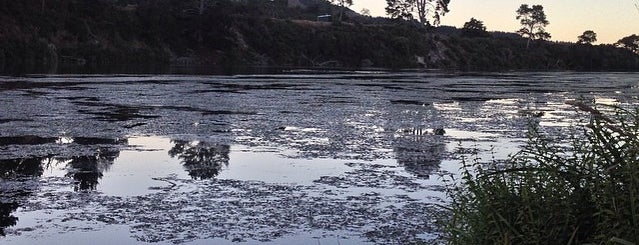 Waikato River Trails is one of Must Do Activities in South Waikato, NZ.